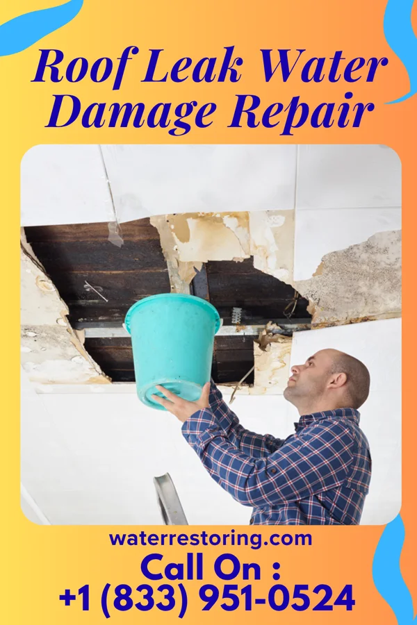 Roof Leak Water Damage Repair in Cazenovia, WI