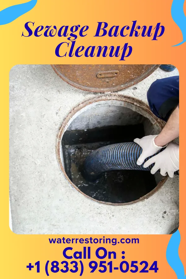 Sewage Backup Cleanup in Cazenovia, WI