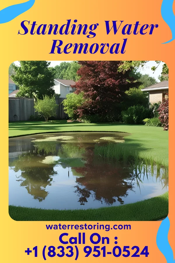 Standing Water Removal in Cazenovia, WI